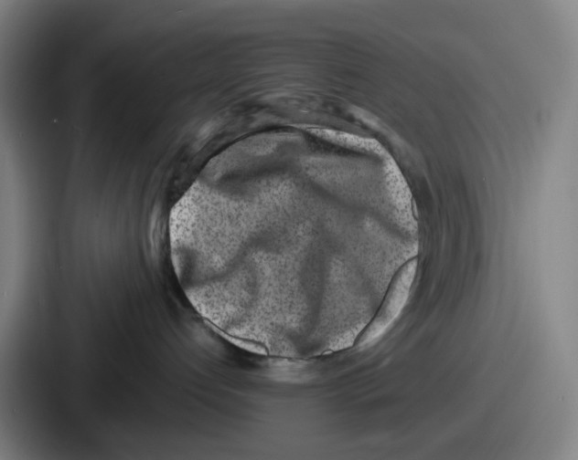 X0000086910192200705141710