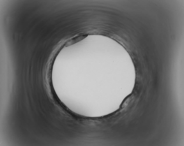 X0000086910193200705141709