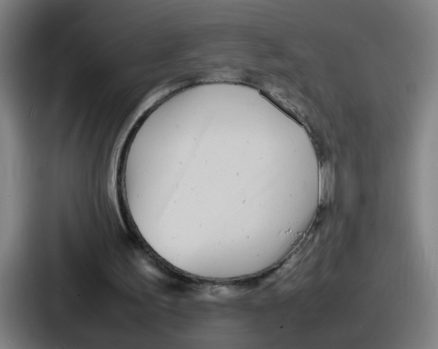 X0000086910195200705141709