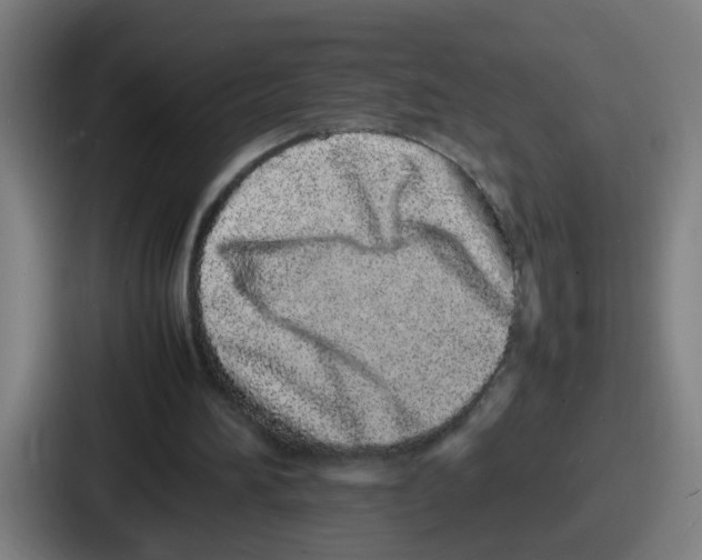 X0000086910196200705141709