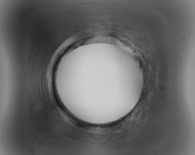 X0000086910197200705141709