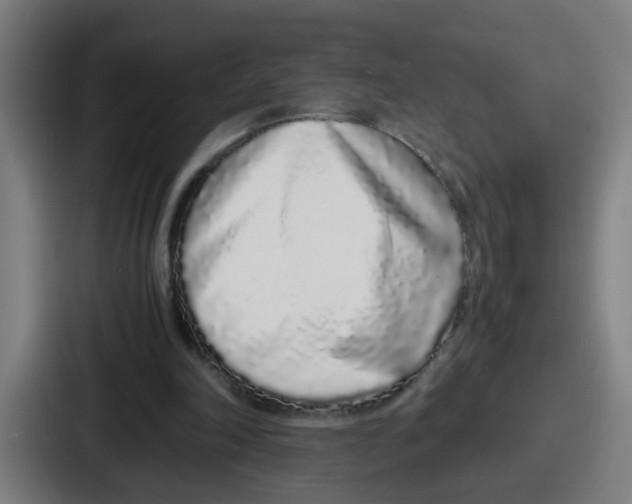 X0000086910198200705141709