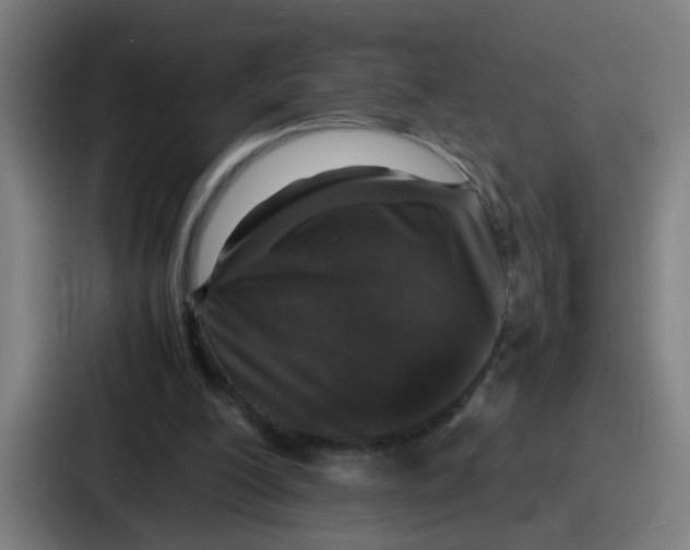 X0000086910200200705141709