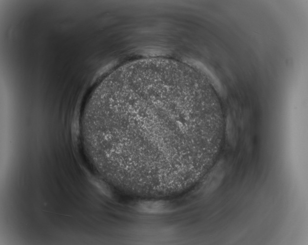 X0000086910202200705141709