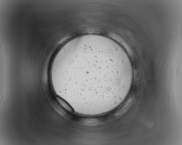 X0000086910203200705141709