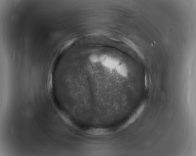 X0000086910205200705141709