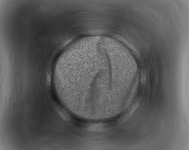 X0000086910206200705141709