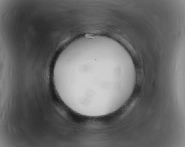 X0000086910207200705141709