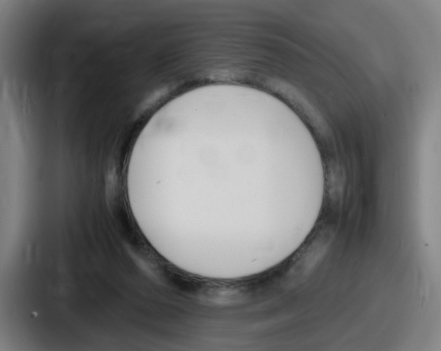 X0000086910208200705141709