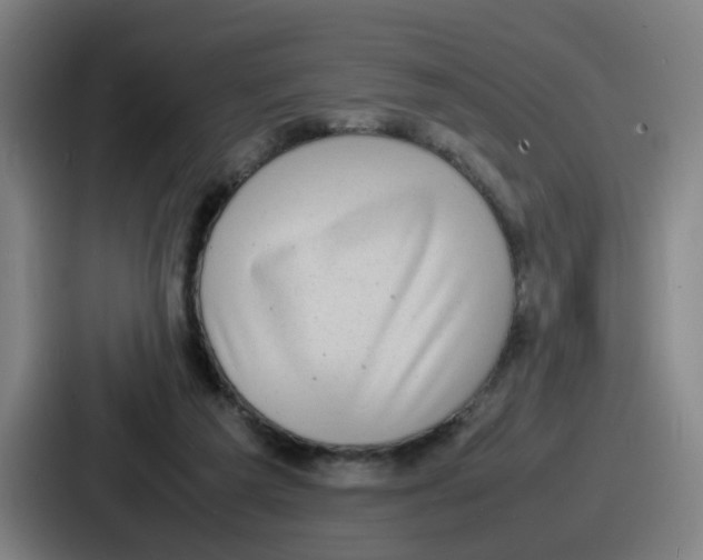 X0000086910209200705141709