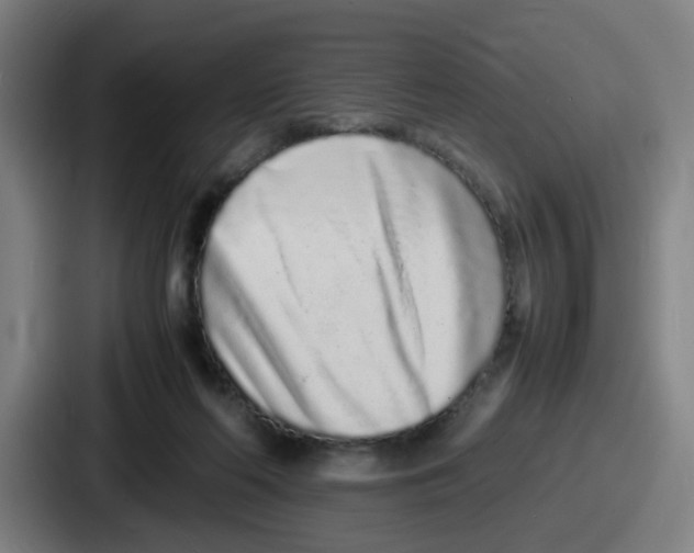 X0000086910214200705141709