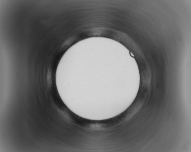 X0000086910216200705141709