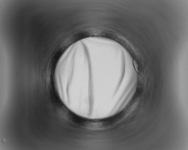 X0000086910217200705141709