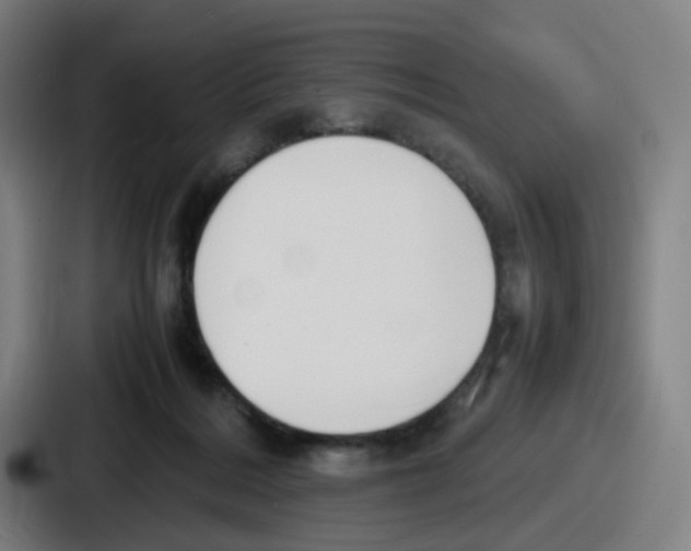 X0000086910220200705141709