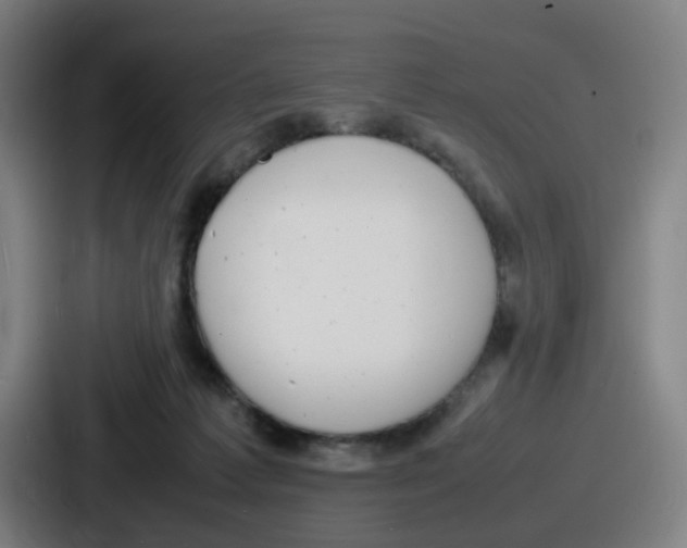 X0000086910221200705141709