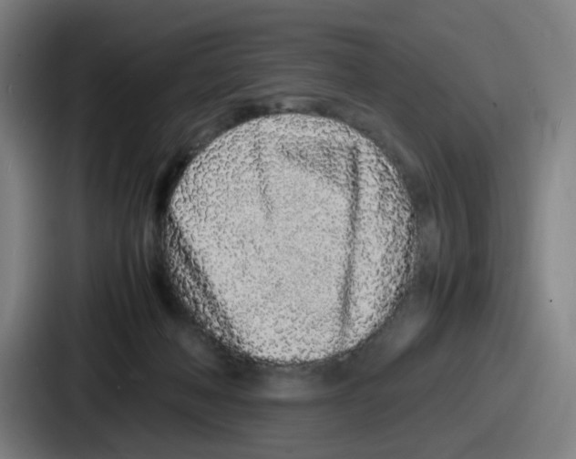 X0000086910222200705141709