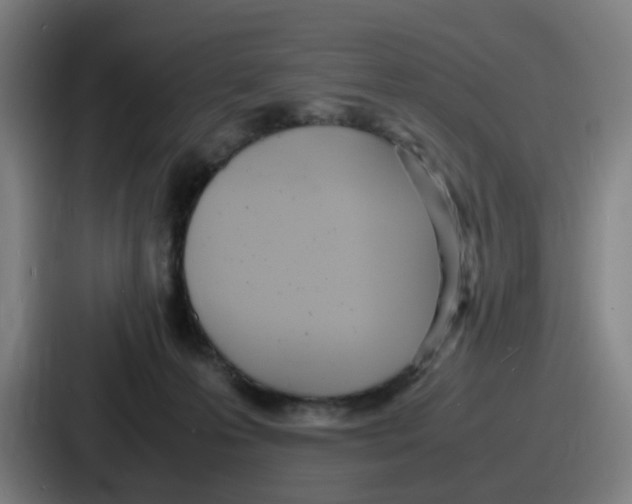 X0000086910223200705141709