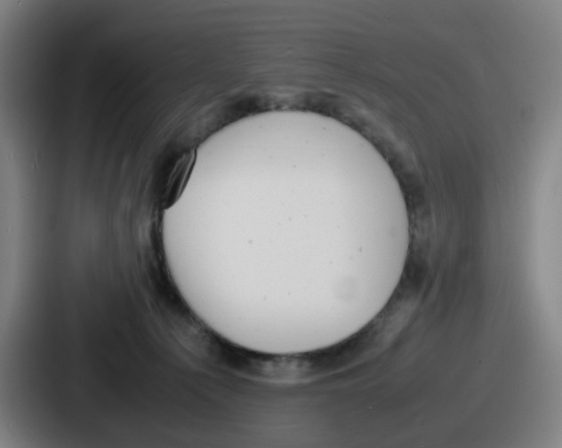 X0000086910225200705141709