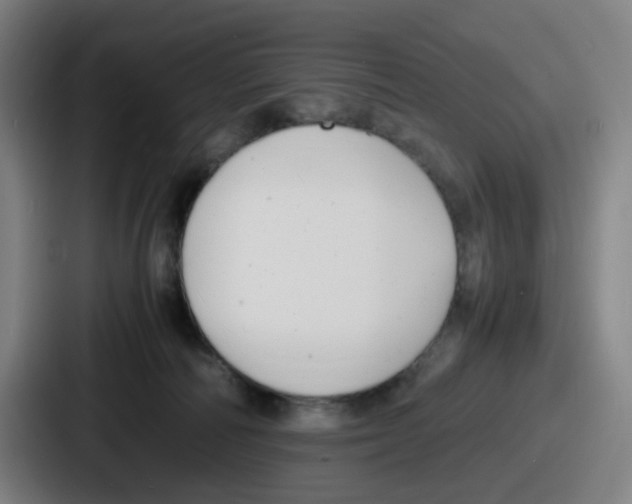 X0000086910226200705141709