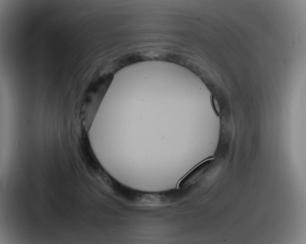 X0000086910227200705141709