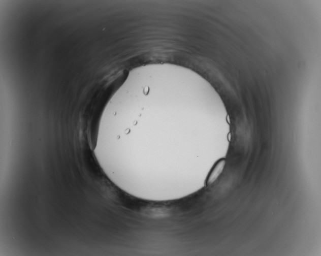 X0000086910228200705141709