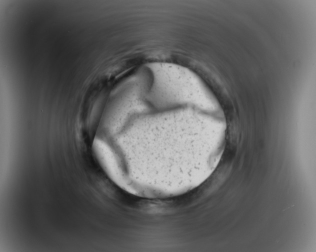 X0000086910229200705141709