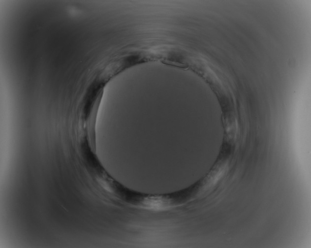 X0000086910231200705141709