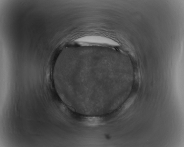 X0000086910233200705141709