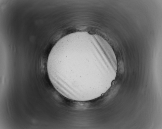 X0000086910234200705141709