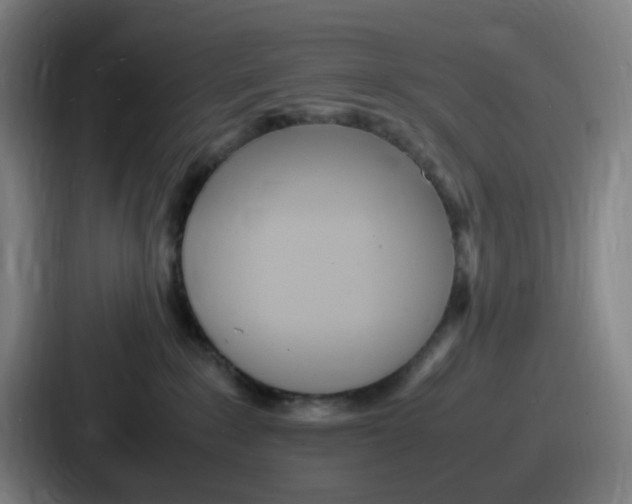 X0000086910235200705141708