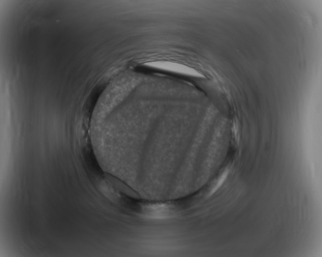 X0000086910237200705141708