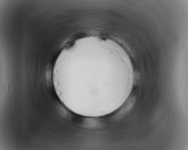 X0000086910238200705141708