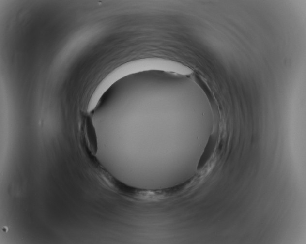 X0000086910239200705141708