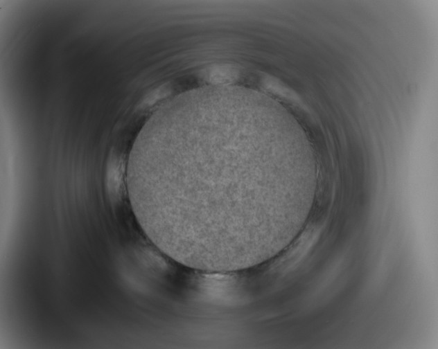 X0000086910240200705141708