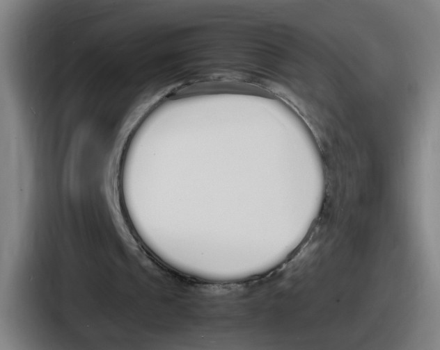 X0000086910241200705141708