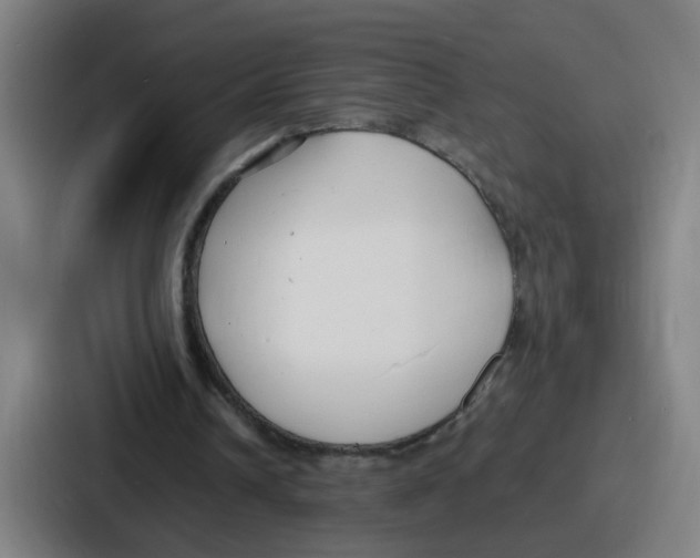 X0000086910242200705141708