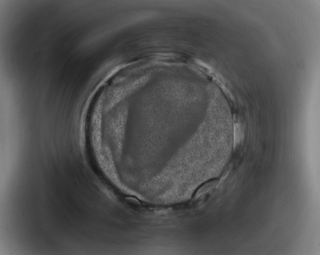 X0000086910243200705141708