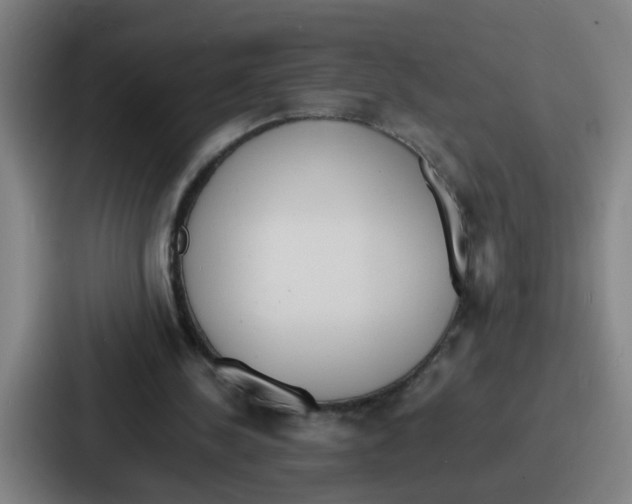 X0000086910244200705141708