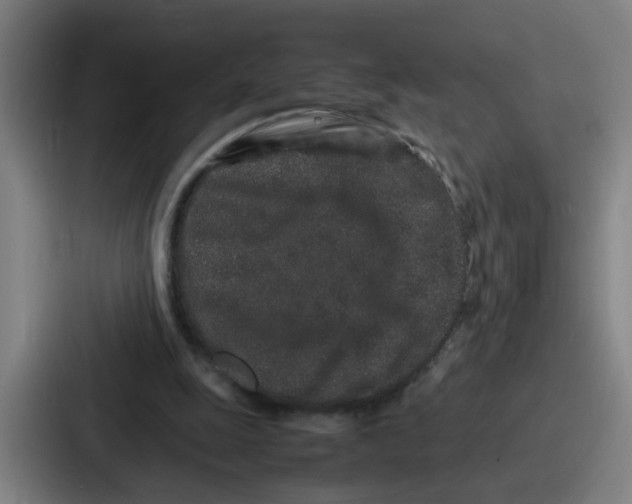 X0000086910247200705141708