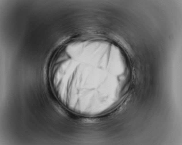 X0000086910250200705141708