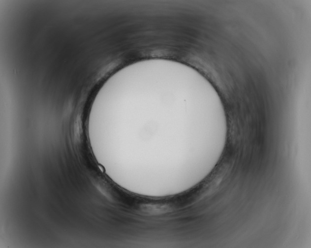 X0000086910251200705141708