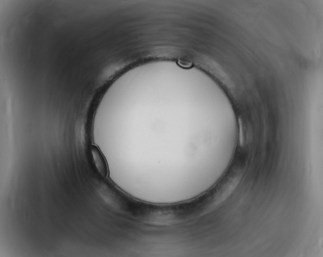 X0000086910252200705141708