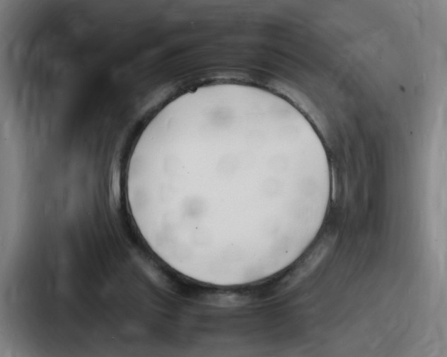 X0000086910253200705141708