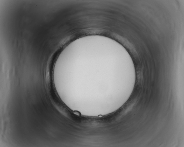 X0000086910254200705141708