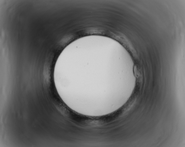 X0000086910255200705141708