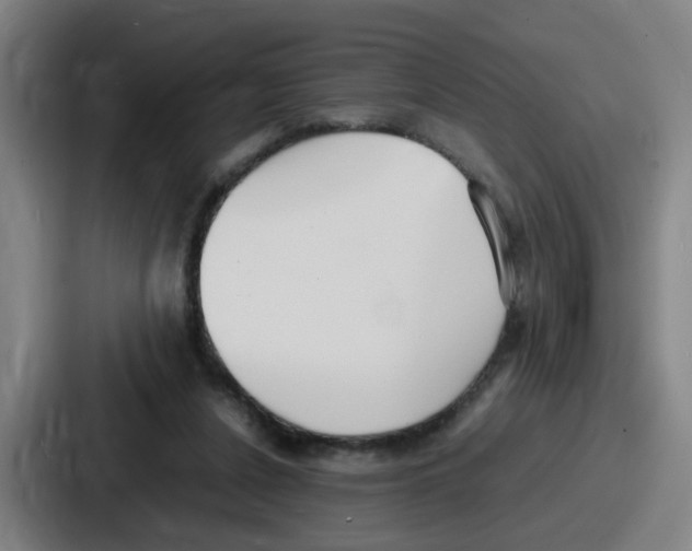 X0000086910256200705141708