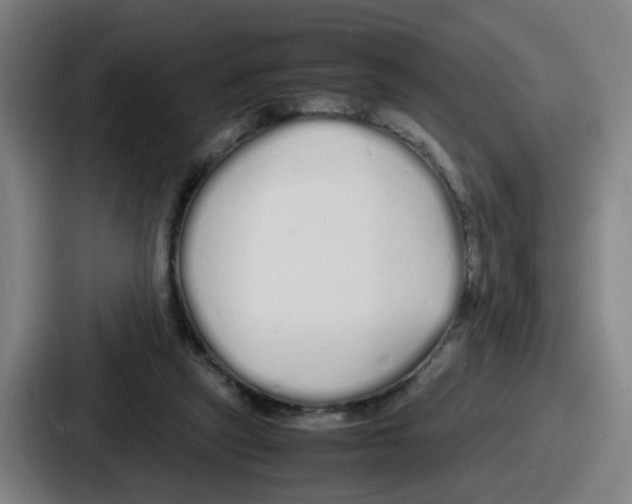 X0000086910257200705141708