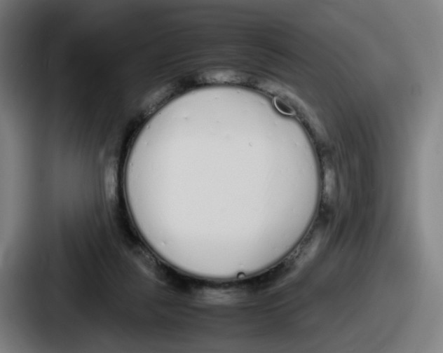 X0000086910259200705141708