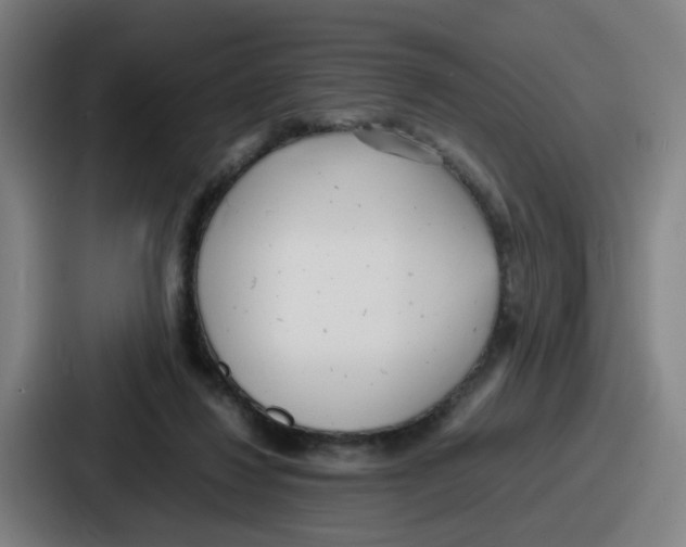 X0000086910260200705141708