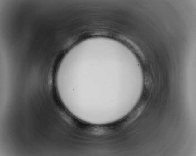 X0000086910261200705141708